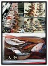 【鯛ラバ】魚眼ケイムラ＋オーロラver. タイラバ3本セット　様々な海域で多数の釣果報告を頂いております！_画像9
