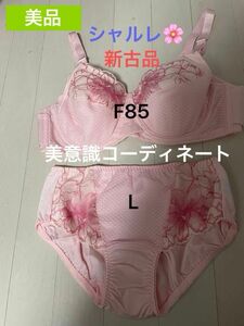 ＊美品＊新古品＊シャルレ＊美意識ブラ＆ヒップハングショーツセット＊F85＊L＊