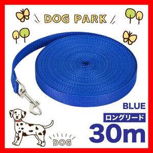 犬 リード　ロングリード 30m 小型犬 中型犬 散歩　トレーニング 青 ブルー　リード30M3