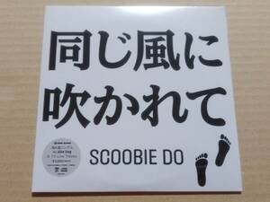 CD Scoobie Do 同じ風に吹かれて / Alive Song 未開封 送料無料