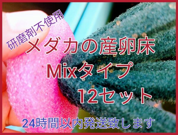 メダカの産卵床 Mixタイプ 12セット