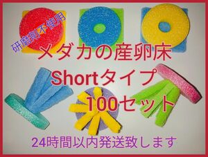 メダカの産卵床100セット