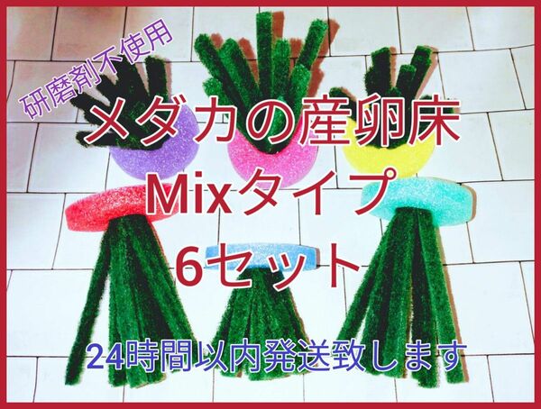 メダカの産卵床Mix6セット