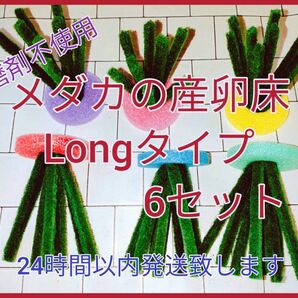 メダカの産卵床Long6セット