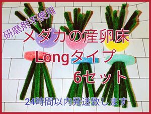 メダカの産卵床Long6セット