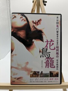 キングレコード 花鳥籠 森野美咲　DVD