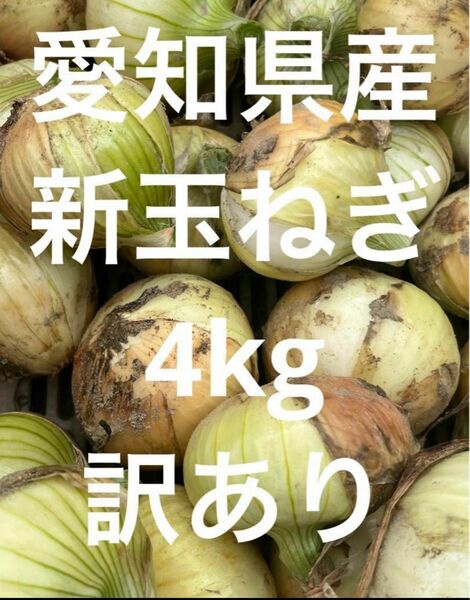 愛知県産　新玉ねぎ　訳あり　4kg