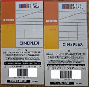 ユナイテッド・シネマ、シネプレックス特別鑑賞券ペアチケット 送料無料（普通郵便） 