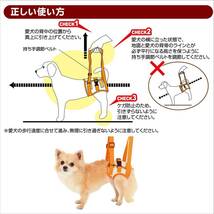 ペティオ (Petio) ずっとね 歩行補助ハーネス 後足用K 超小型犬用 S サイズ_画像2