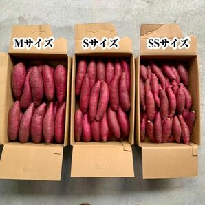 千葉県かとり産　シルクスイート　SSサイズ　1kg さつまいも　生芋　お試し少量　訳あり品　規格外　ポストへのお届け