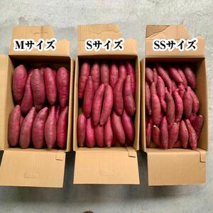 千葉県かとり産　シルクスイート　SSサイズ　1kg さつまいも　生芋　お試し少量　訳あり品　規格外　ポストへのお届け 美容に◎