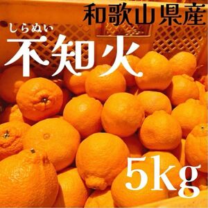 売れてます！契約農家さん直送！　予約販売　訳あり品じゃなくてこの価格！　和歌山県産　不知火　しらぬい　デコポンと同品種　約5kg