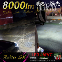 T10 T16 LED ポジション バックランプ ホワイト サンバー インサイト 超爆光LED ライセンス 8000lm 1年保証 満足度120％ Radies SK_画像10