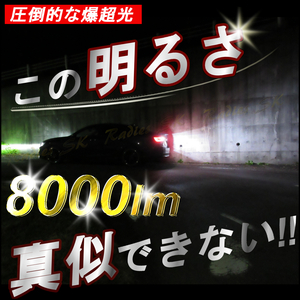 S25 ホワイト 爆光LED 明るい 12V-24V 2個 バックランプ ポジション ライセンス 8000lm インサイト 1年保証