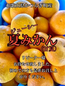 甘夏みかん 4kgセール中　ご家庭用　ビタミンC クエン酸たっぷり　美容と健康にぜひ！