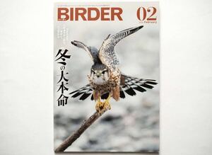 ◆BIRDER（バーダー）2023年2月号　特集：コミミズク、コチョウゲンボウ、タゲリ、ベニマシコ── 冬の大本命