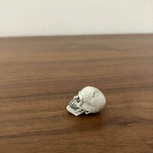 骸骨 しゃれこうべ 頭蓋骨 フィギュア インテリア ハロウィンの画像4
