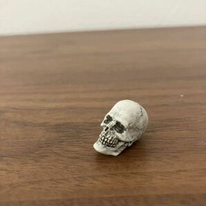 骸骨 しゃれこうべ 頭蓋骨 フィギュア インテリア ハロウィンの画像1