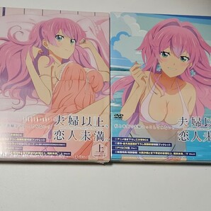 【未開封】夫婦以上、恋人未満。 DVD BOX 上下巻