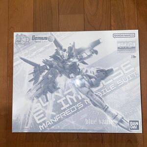 MG 1/100 ガンダムエクスインパルス