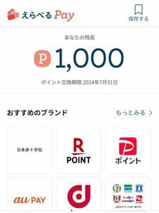 即納 値下不可 えらべるpay 1000