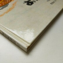 あかりの花 福音館書店 中国苗族民話 肖甘牛 君島久子 赤羽末吉 絵本_画像7