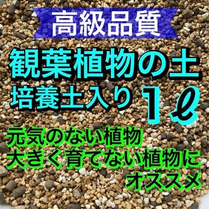 高級品質　観葉植物の土［培養土入り］●細粒● 1リットル　オリジナル配合土 多肉植物