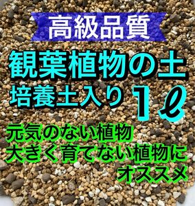 高級品質　観葉植物の土［培養土入り］●細粒● 1リットル　オリジナル配合土 多肉植物