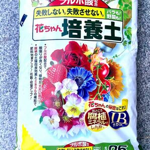 数量限定セール!! 花ごころ 花ちゃん培養土 2リットル 