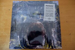 P3-135＜12inch/TEMPO123/美品＞Pankow /Touch