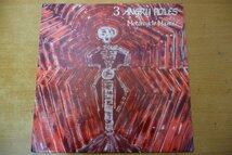 Q3-259＜12inch/美盤＞3 Angry Poles / Motorcycle Maniac_画像1