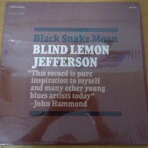 S3-246＜LP/US盤/美品＞Blind Lemon Jefferson / Black Snake Moanの画像1