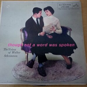 S3-262＜LP/US盤＞The Voices Of Walter Schumann / Though Not A Word Was Spokenの画像1