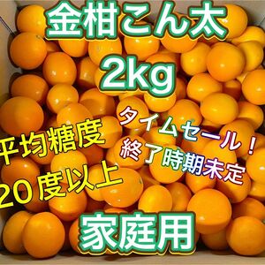 金柑こん太　家庭用2kg