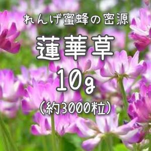 【蓮華草のタネ】10g 種子 種 レンゲソウ れんげ草 レンゲ草 緑肥 花 景観