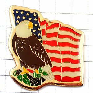  pin badge * arrow ...... Eagle bird .. star article flag America national flag /USA* France limitation pin z* rare . Vintage thing pin bachi