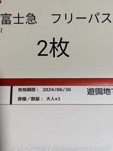 富士急ハイランド　フリーパス　2枚