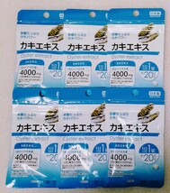 カキエキス 牡蠣エキス【合計120日分6袋】1日1錠 栄養たっぷりカキパワー 栄養機能食品 日本製 サプリメント_画像1