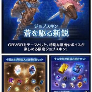 グランブルーファンタジー スペシャルアイテムセット GBVSRパック ジョブスキン「蒼を駆る新鋭」 ライジング シリアルコードの画像1