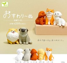 即決》お座り×犬 おすわり～ぬ【全５種フルコンプセット】送料140円～新品未開封 マルチーズ/パグ/トイプードル/ポメラニアン/柴犬 いぬ_画像1