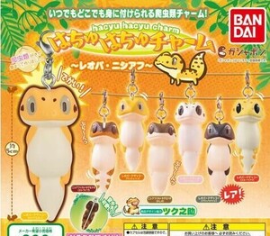 即決》はちゅはちゅチャーム レオパ・ニシアフ【６種ノーマルコンプセット】送料140円～新品未開封 レオパードゲッコー/ニシアフリカトカゲ