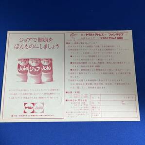 ♪♪ヤクルトアトムズ ステッカー シール 詳細不明 未使用品 ヤクルトアトムズ後援会♪♪の画像5