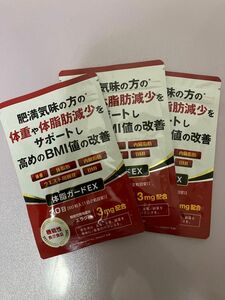 体脂ガードEX エラグ酸　機能性表示食品　90日分（60粒×三袋）　賞味期限2026.03 新品未開封