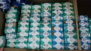 * Gunze, Span thread color thread 22 box ~24 box 6 pcs insertion .60 number 50 number another, each color equipped. new goods great number . secondhand goods ..* cheap exhibition! Honshu free shipping!N2