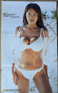 根本はるみ　奥菜恵　両面印刷ピンナップポスター　約25×42ｃｍ　週刊プレイボーイ 2002.10.15 No.42 付録