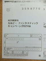 Calbee カルビー 点数 90点 応募券 応募はがき3枚付 ファンタスティックキャンペーン 2024 東京ディズニーシー 貸し切りパーティーご招待⑨_画像9