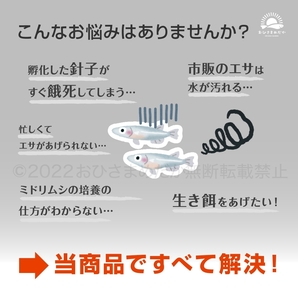 【ミドリムシ 種水 900ml 送料無料】 めだか メダカ 針子 エサ 稚魚 ベタ psb  金魚 ミジンコ クロレラ ゾウリムシ などにの画像5