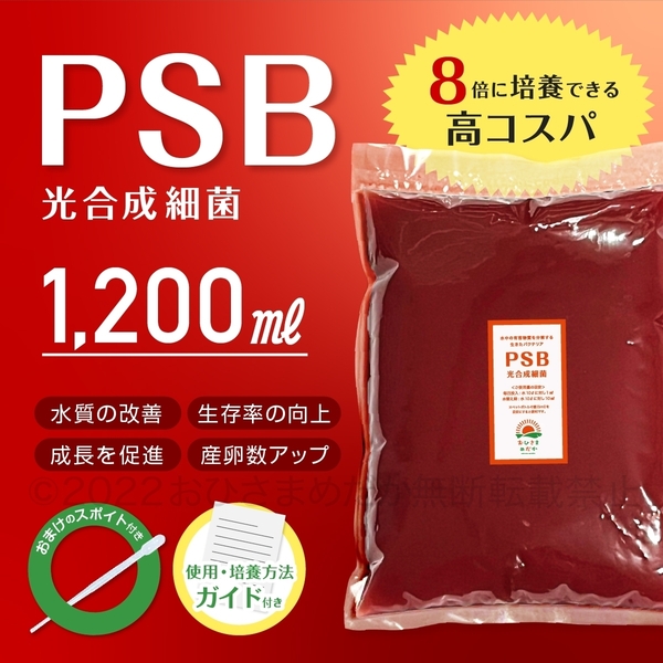 Sale【8倍コスパ　PSB　光合成細菌　1200ml　送料無料】メダカ 　ミジンコ　ゾウリムシの培養　クロレラ　金魚 らんちゅう ベタ　稚魚　に