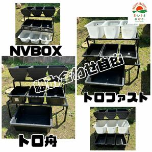 ★メダカ飼育黒ラック ２段12個置き★ めだか飼育棚 容器棚 めだか容器産卵撮影ビオトープゾウリムシPSBミジンコ培養針子にどうぞの画像3