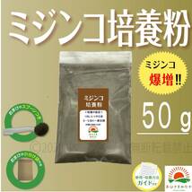 【ミジンコ培養粉50g（5袋分）】めだかエサゾウリムシ 金魚めだかタマミジンコ オオミジンコ タイリクミジンコPSBと生クロレラ併用可_画像1